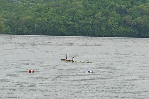 Quemahoning Family Recreational Area