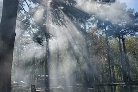 Norwood Campground