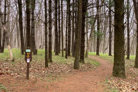 Maquoketa Caves State Park Campground