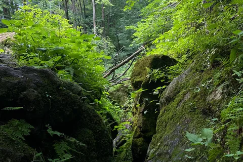 Maquoketa Caves State Park Campground