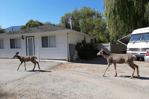 Oxbow RV Resort