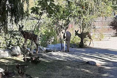 Oxbow RV Resort