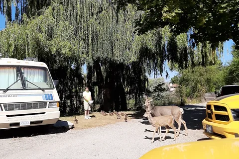 Oxbow RV Resort