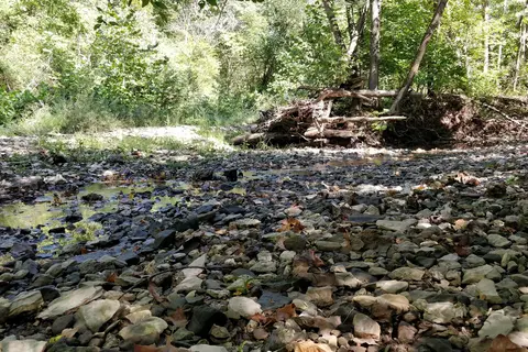 Weinberg-King State Park Fish and Wildlife Area