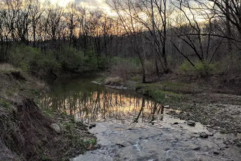 Weinberg-King State Park Fish and Wildlife Area