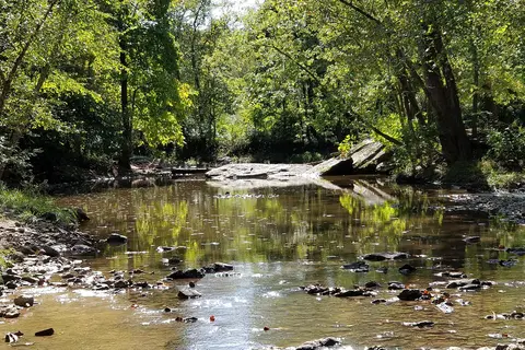 Weinberg-King State Park Fish and Wildlife Area