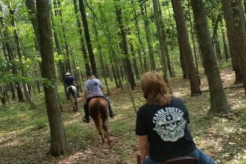 Rustic Sky Horse Camp