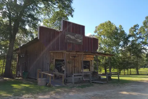 Rustic Sky Horse Camp