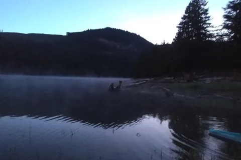 Cascara Campground - Fall Creek State Recreational Area