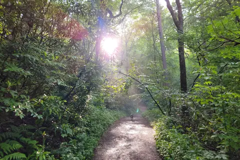 Linville Falls Campground, RV Park and Cabins