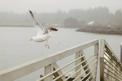 Bandon RV Park