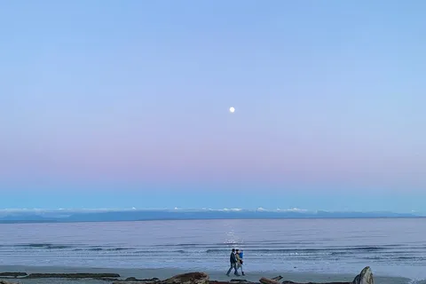 Saratoga Beach Resort