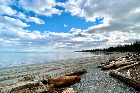 Saratoga Beach Resort