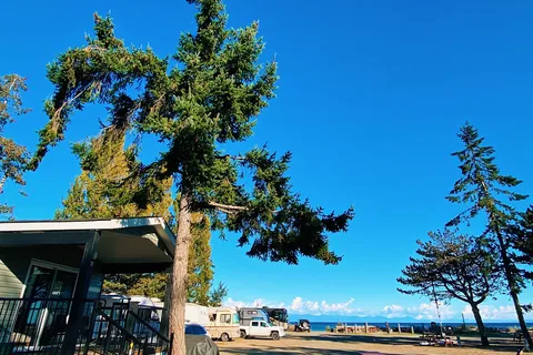 Saratoga Beach Resort