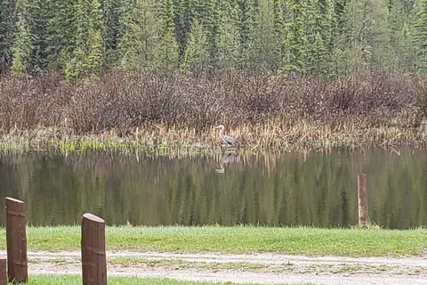 Whitefish Lake Provincial Park