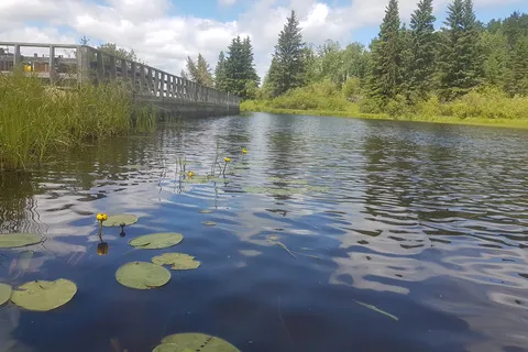 Whitefish Lake Provincial Park