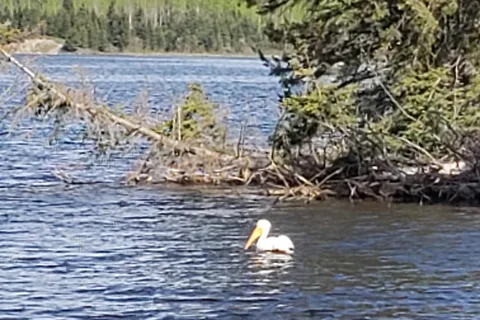 Whitefish Lake Provincial Park