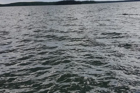 Whitefish Lake Provincial Park