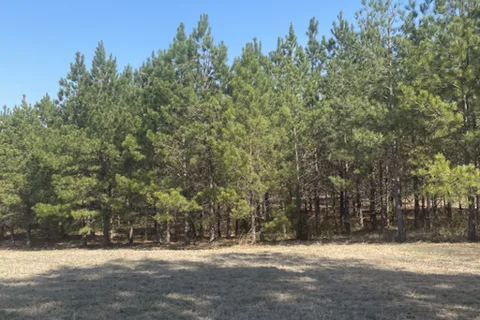 D&D Outdoor Retreat