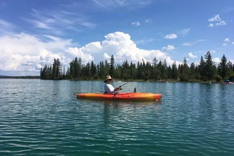 Lazydaze Campground and Logging