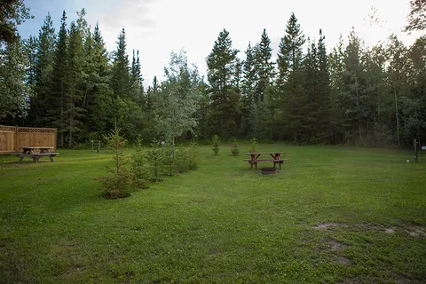 Lazydaze Campground and Logging