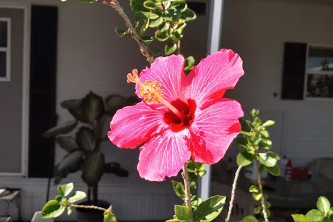 Fort Myers Beach RV Resort