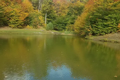 Sugar Ridge RV Village and Campground