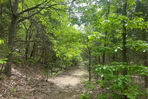 Timber Road - Elk City State Park