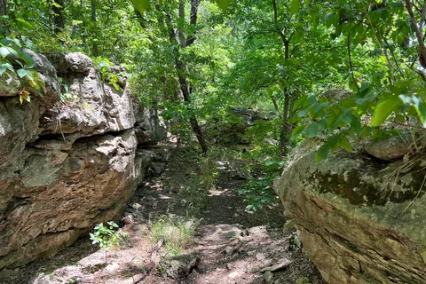 Timber Road - Elk City State Park