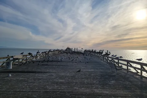 Seacliff State Beach
