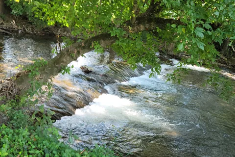 Shadrack Campground
