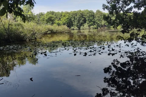 Metamora-Hadley Recreation Area