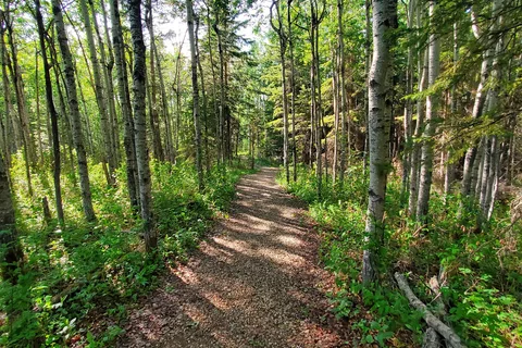 Pembina River Provincial Park