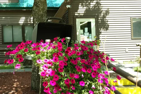 Beaver Hollow Campground