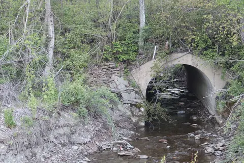 Misty Mountains Park