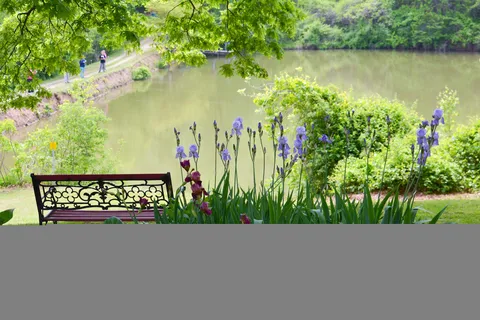 Basswood Resort