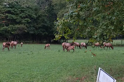 Tow String Horse Camp - Great Smoky Mountains National Park