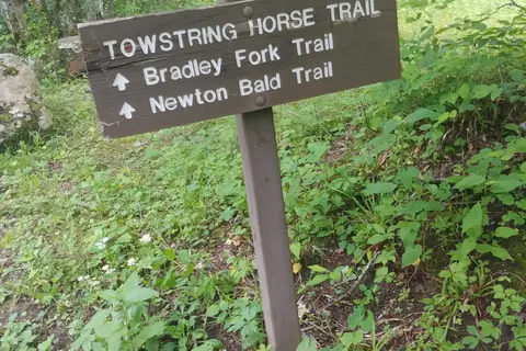 Tow String Horse Camp - Great Smoky Mountains National Park