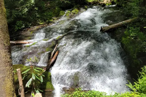 Tow String Horse Camp - Great Smoky Mountains National Park