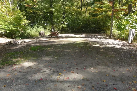 Nelson's Family Campground