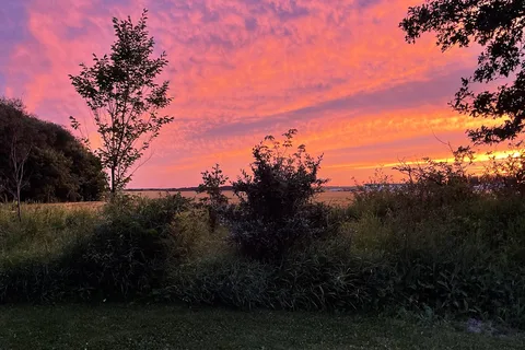 Cottonwood Campground