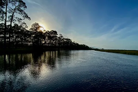 Ochlockonee River State Park