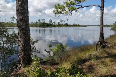 Ochlockonee River State Park
