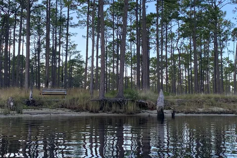 Ochlockonee River State Park