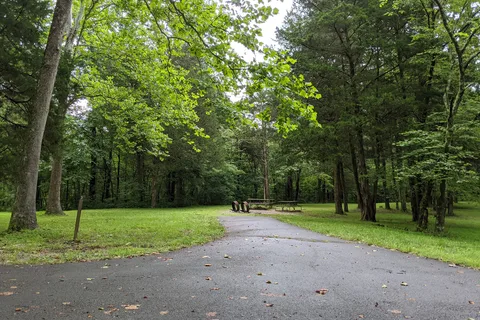 Maple Springs Group - Mammoth Cave National Park