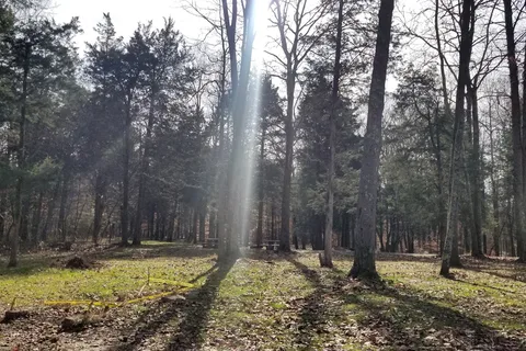 Maple Springs Group - Mammoth Cave National Park