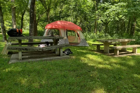 Maple Springs Group - Mammoth Cave National Park