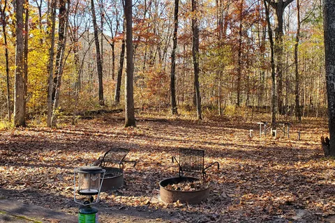 Maple Springs Group - Mammoth Cave National Park