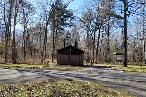 Maple Springs Group - Mammoth Cave National Park