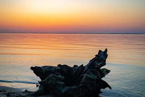 Roaring Point Waterfront Campground